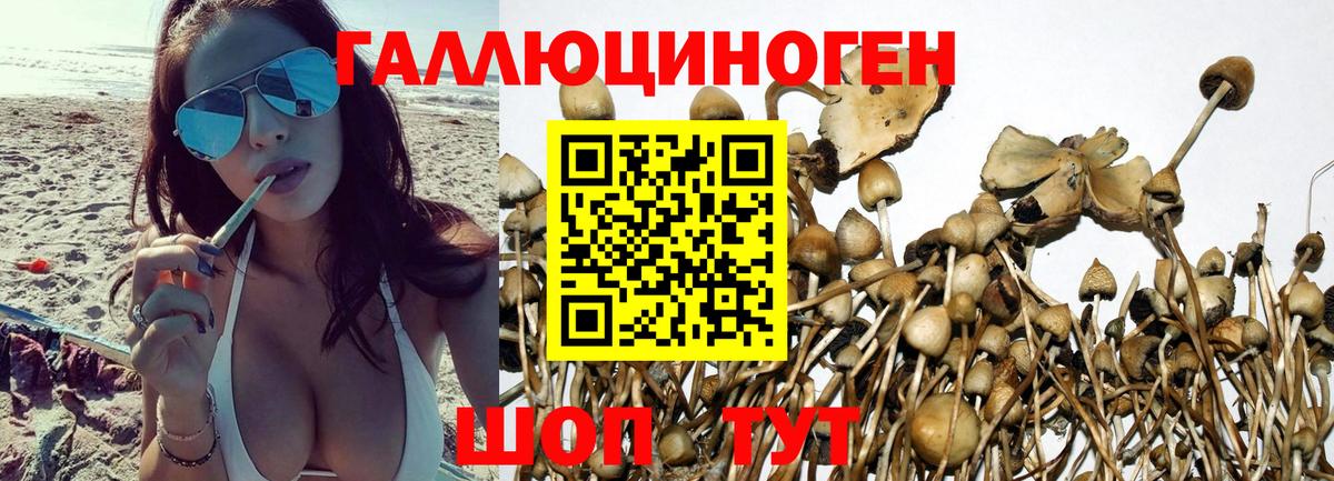 Галлюциногенные грибы MAGIC MUSHROOMS  Псилоцибиновые грибы прущие грибы  Новый Уренгой  Вход с VPN 